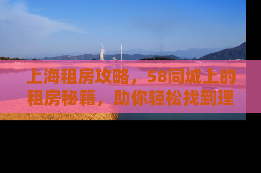 上海租房攻略，58同城上的租房秘籍，助你轻松找到理想之家