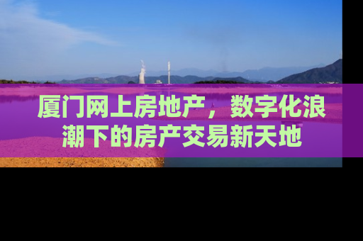 厦门网上房地产，数字化浪潮下的房产交易新天地