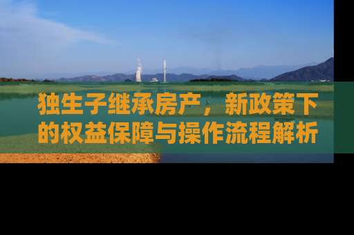 独生子继承房产，新政策下的权益保障与操作流程解析