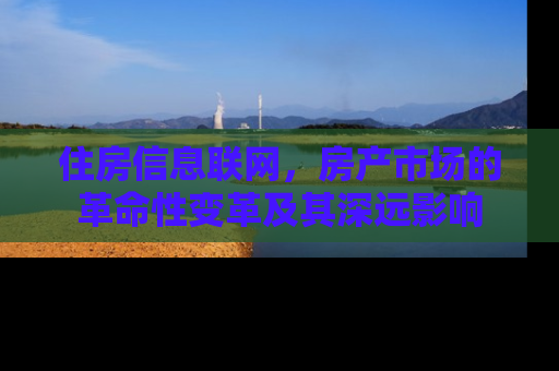 住房信息联网，房产市场的革命性变革及其深远影响