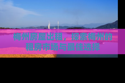 梅州房屋出租，探索梅州的租房市场与最佳选择