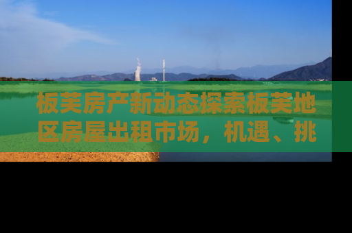 板芙房产新动态探索板芙地区房屋出租市场，机遇、挑战与未来趋势