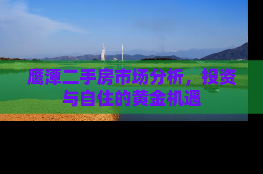 鹰潭二手房市场分析，投资与自住的黄金机遇