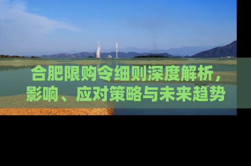 合肥限购令细则深度解析，影响、应对策略与未来趋势