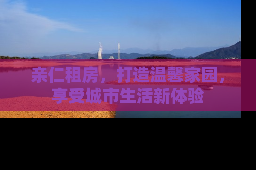 亲仁租房，打造温馨家园，享受城市生活新体验