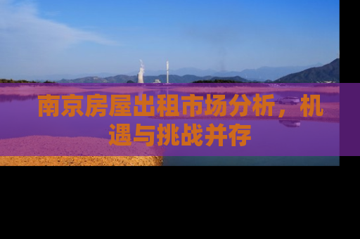 南京房屋出租市场分析，机遇与挑战并存