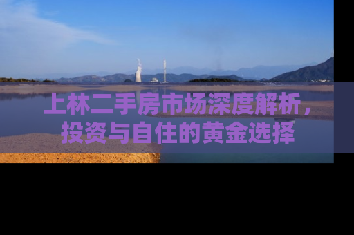 上林二手房市场深度解析，投资与自住的黄金选择