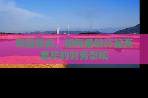 双倍投资，如何精明计算两套房的财务影响
