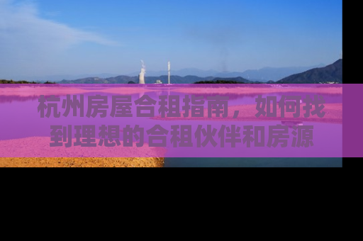杭州房屋合租指南，如何找到理想的合租伙伴和房源