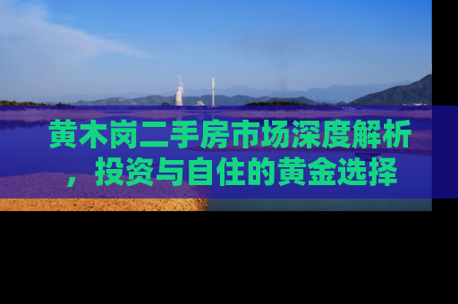 黄木岗二手房市场深度解析，投资与自住的黄金选择