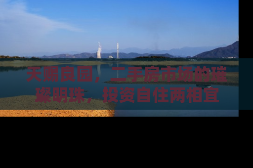 天赐良园，二手房市场的璀璨明珠，投资自住两相宜