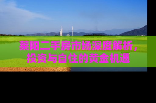 莱阳二手房市场深度解析，投资与自住的黄金机遇