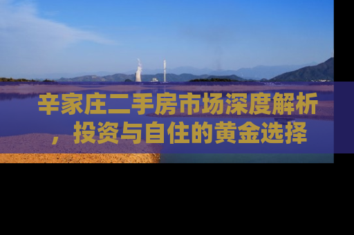 辛家庄二手房市场深度解析，投资与自住的黄金选择
