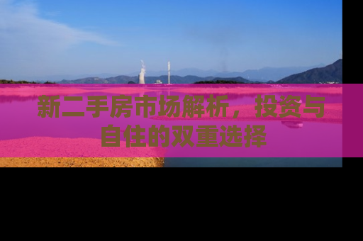 新二手房市场解析，投资与自住的双重选择