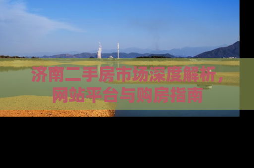 济南二手房市场深度解析，网站平台与购房指南
