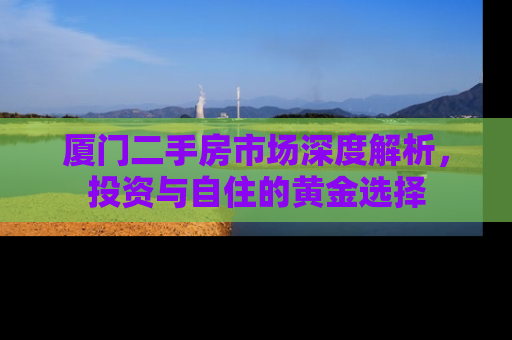 厦门二手房市场深度解析，投资与自住的黄金选择