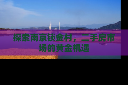 探索南京锁金村，二手房市场的黄金机遇