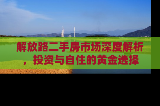 解放路二手房市场深度解析，投资与自住的黄金选择