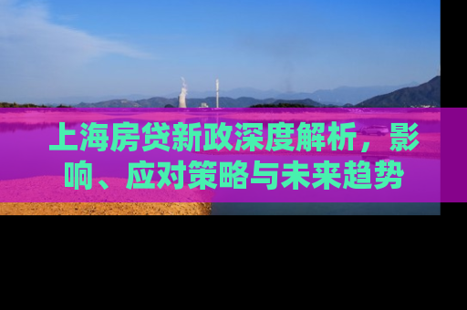 上海房贷新政深度解析，影响、应对策略与未来趋势