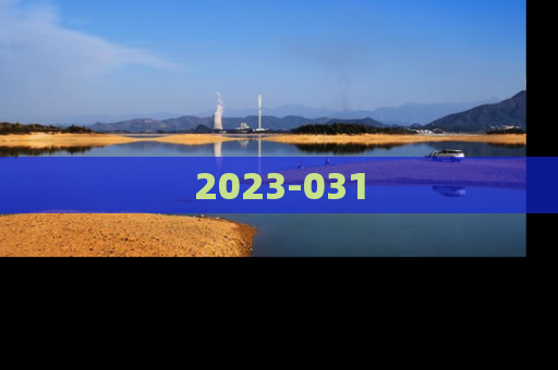 2023-031