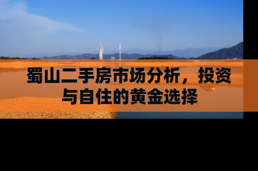 蜀山二手房市场分析，投资与自住的黄金选择