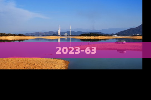 2023-63