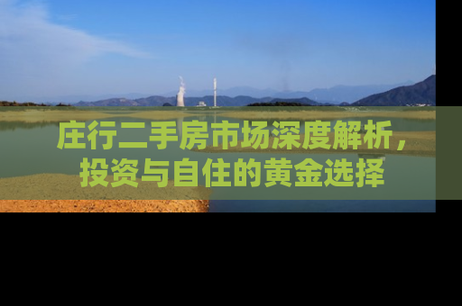 庄行二手房市场深度解析，投资与自住的黄金选择