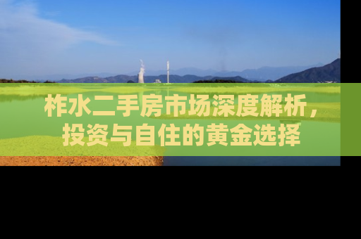 柞水二手房市场深度解析，投资与自住的黄金选择
