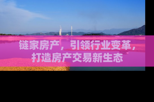 链家房产，引领行业变革，打造房产交易新生态