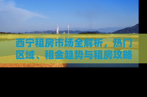 西宁租房市场全解析，热门区域、租金趋势与租房攻略