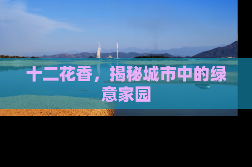 十二花香，揭秘城市中的绿意家园