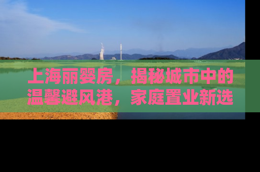 上海丽婴房，揭秘城市中的温馨避风港，家庭置业新选择