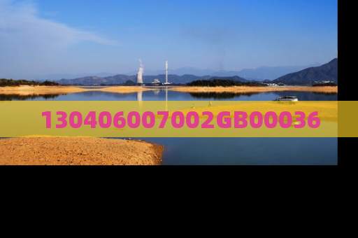 130406007002GB00036