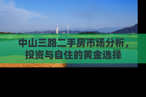 中山三路二手房市场分析，投资与自住的黄金选择