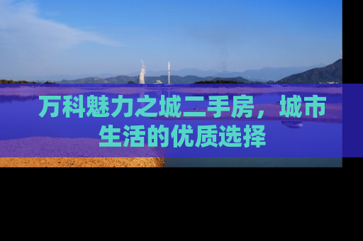万科魅力之城二手房，城市生活的优质选择