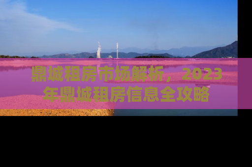鼎城租房市场解析，2023年鼎城租房信息全攻略