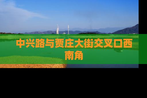 中兴路与贾庄大街交叉口西南角