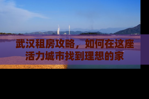 武汉租房攻略，如何在这座活力城市找到理想的家