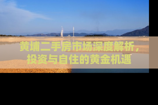 黄埔二手房市场深度解析，投资与自住的黄金机遇