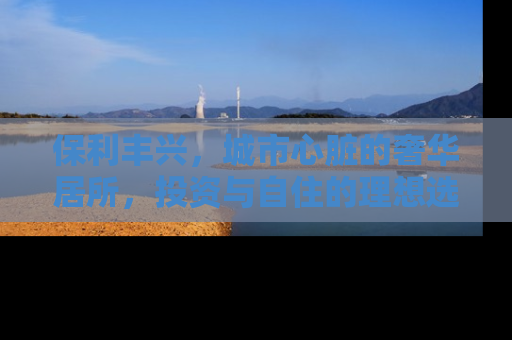 保利丰兴，城市心脏的奢华居所，投资与自住的理想选择
