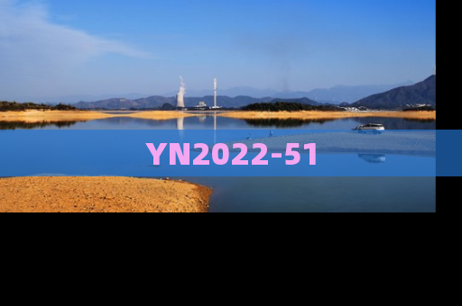 YN2022-51