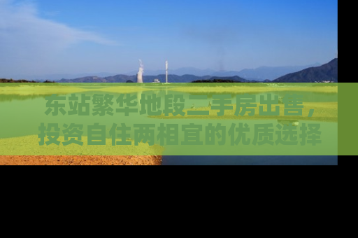 东站繁华地段二手房出售，投资自住两相宜的优质选择
