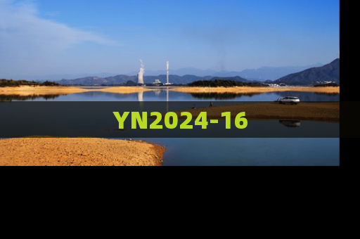 YN2024-16