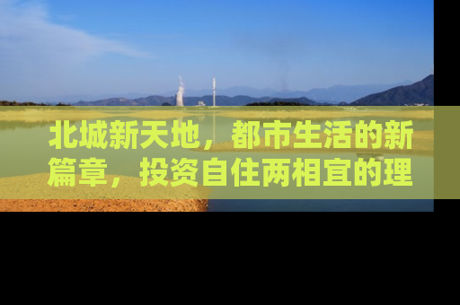 北城新天地，都市生活的新篇章，投资自住两相宜的理想选择
