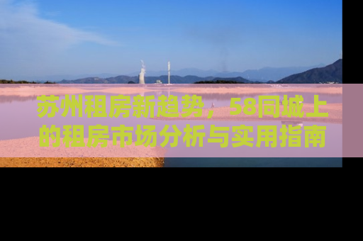 苏州租房新趋势，58同城上的租房市场分析与实用指南