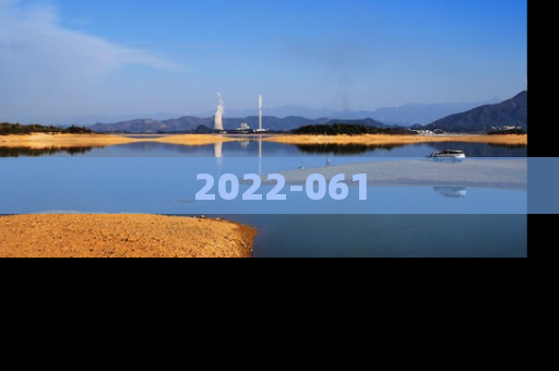 2022-061