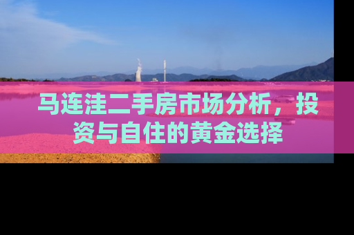 马连洼二手房市场分析，投资与自住的黄金选择