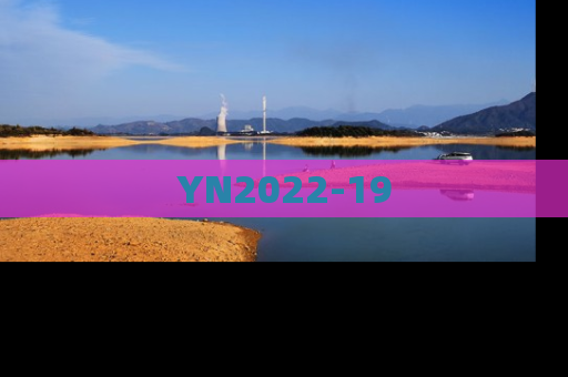 YN2022-19