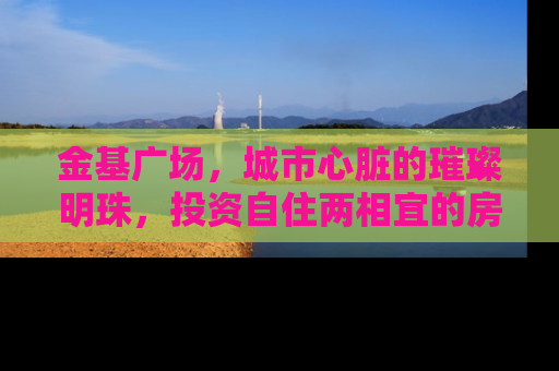 金基广场，城市心脏的璀璨明珠，投资自住两相宜的房产新选择