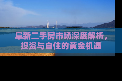 阜新二手房市场深度解析，投资与自住的黄金机遇